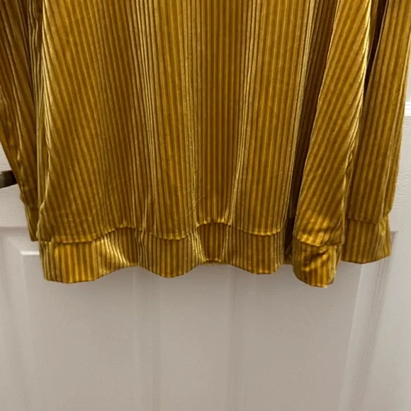 MTS Gold Ribbed Velvet Top - Picture 3 of 7